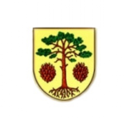 obec-bory-znak