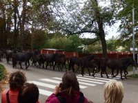 podzimn_zjezd_2015_016