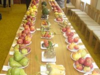 vstava_zahrdki_23.10.11_002
