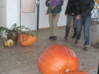 vstava_zahrdki_23.10.11_028
