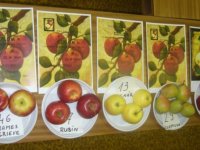 vstava_zahrdki_23.10.11_092