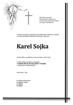 Sojka parte