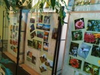 img_20161020_082152