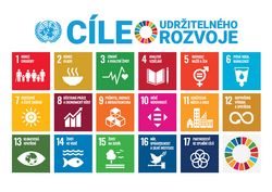 E 2019_SDG_Poster_A3_with_UN_emblem_CZ-K