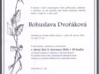 b_dvokov
