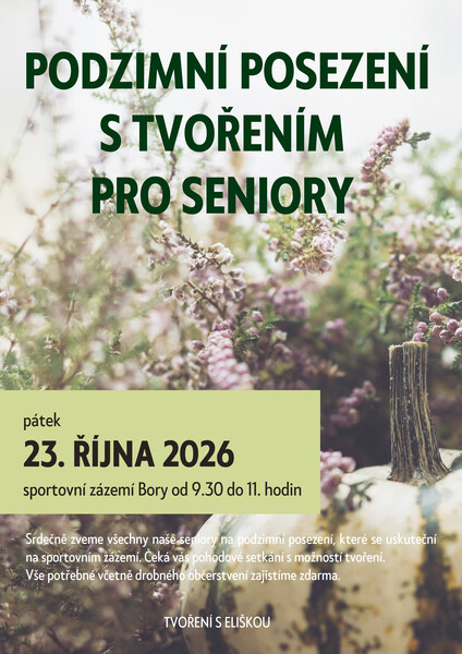 podzipodzimni posezeni 26