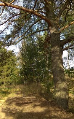 IMG 20180911_171516