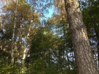 img_20180829_091530