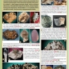 minerlyjpg