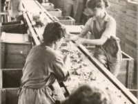 1962