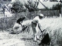 zne1946