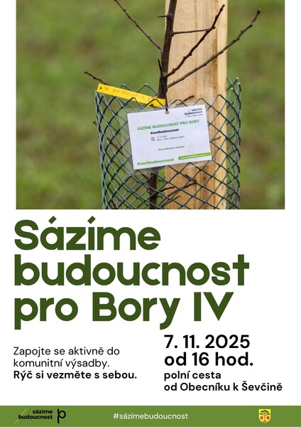 sázíme budoucnost pro bory IV Plakát A3 na výšku