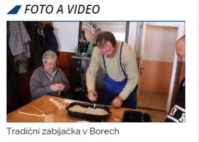 zabjaka_v_borech