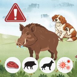 649931090 1337107645110800_8395937933715687000_n