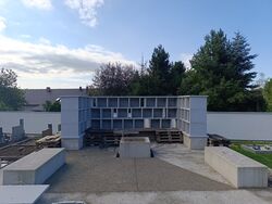 IMG 20250822_094434