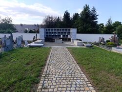 IMG 20250822_094500