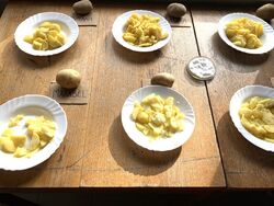 Slavnosti brambor_a_zdravi_1_copy