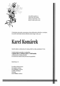 Snímek obrazovky_2025-04-28_122531