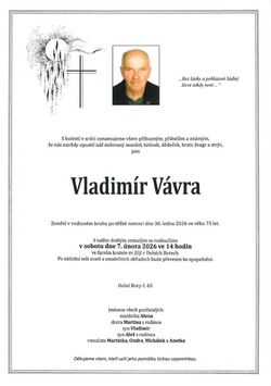 Sn&iacute;mek obrazovky_2026-02-03_130610