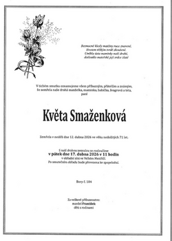 Sn&iacute;mek obrazovky_2026-04-13_140213