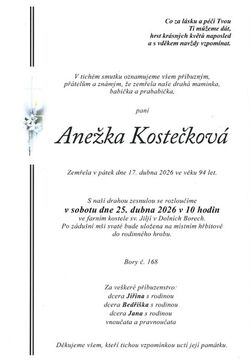 Sn&iacute;mek obrazovky_2026-04-20_111413