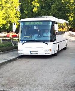 bus