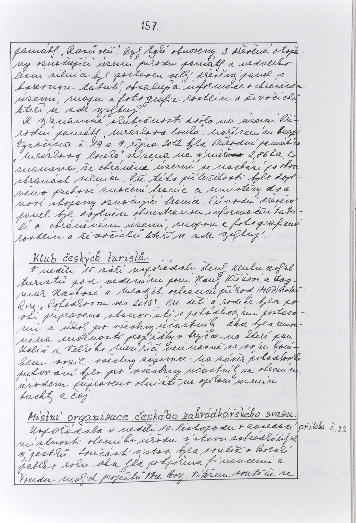 Page Background