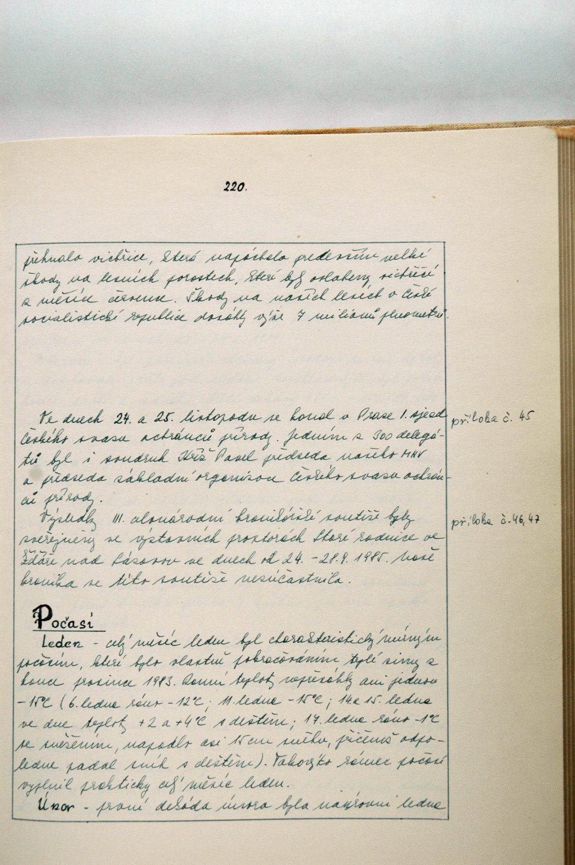 Page Background