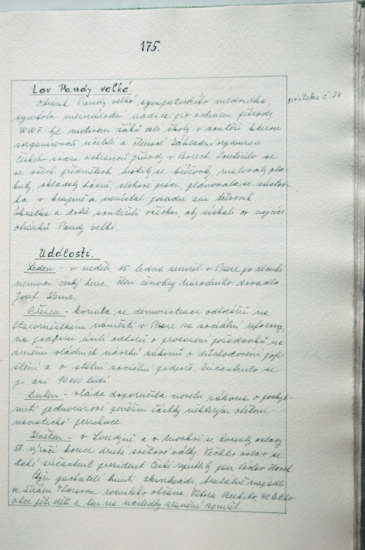 Page Background