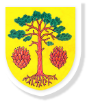 Primary Raster logo